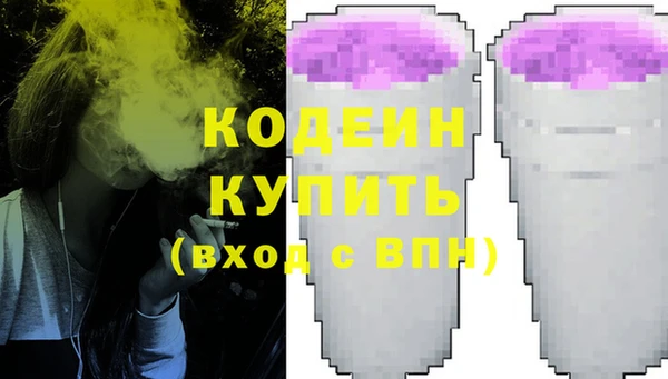 дмт Лабытнанги