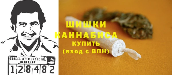 твердый Ладушкин