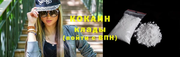 винт Лагань