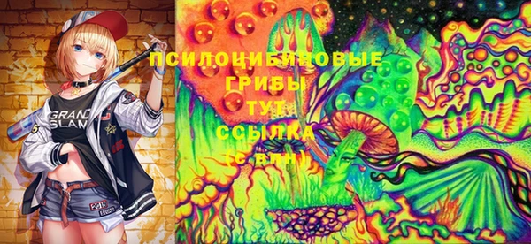 соль ск Липки