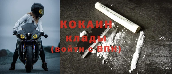 винт Лагань