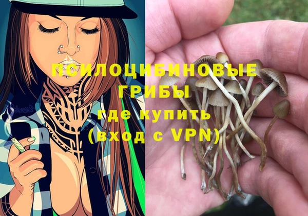 дживик Аркадак