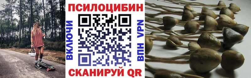 мега ONION  купить   Лысково  Псилоцибиновые грибы мицелий 